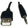 Cabo Audio P2 X Usb Femea 20cm - Cod: 2328